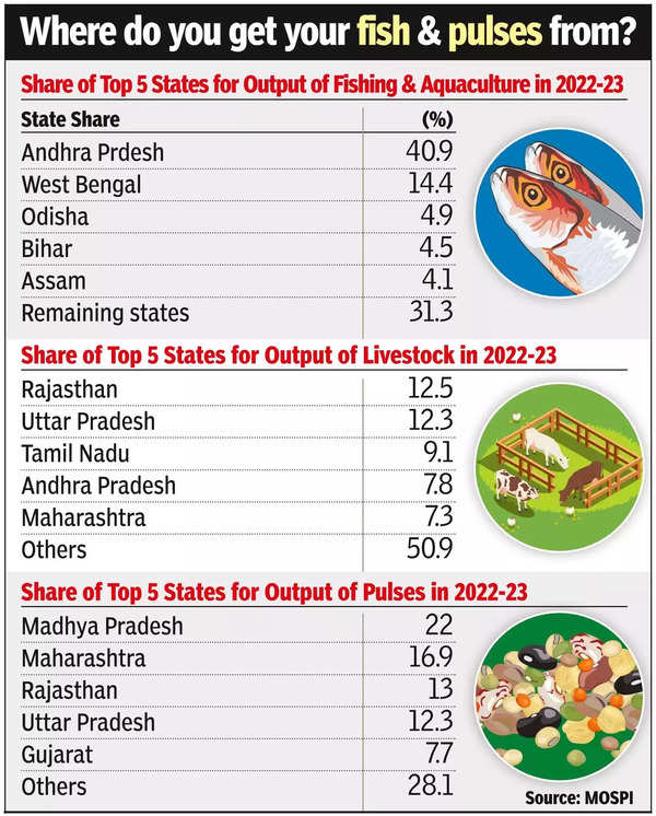 बड़ी मछली_ आंध्र प्रदेश भारत के कुल जलकृषि उत्पादन का 41% उत्पादित करता है।