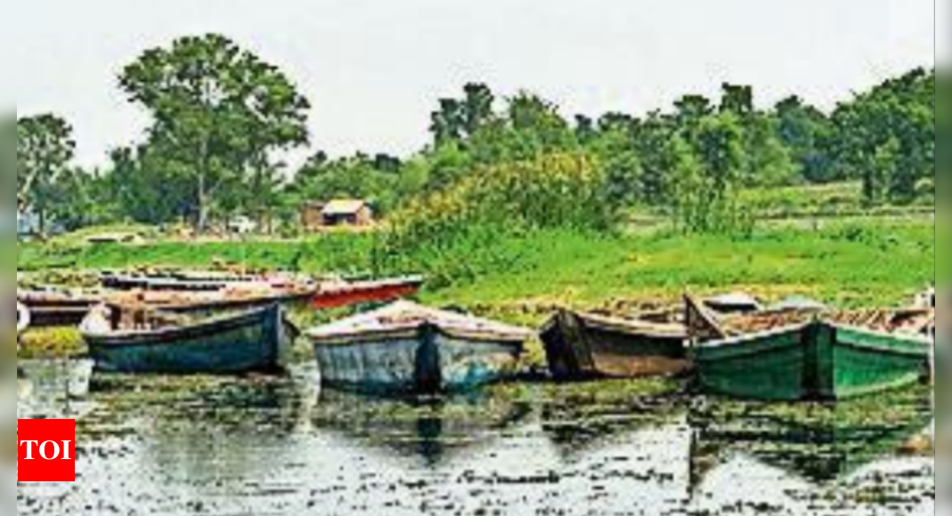 हरित योद्धा ने आर्द्रभूमि को बचाने के लिए एनजीटी का दरवाजा खटखटाया | पटना समाचार