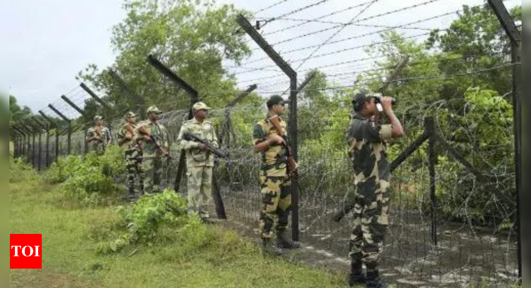 पाकिस्तानी सैनिकों की अकारण गोलीबारी में बीएसएफ जवान घायल | भारत समाचार