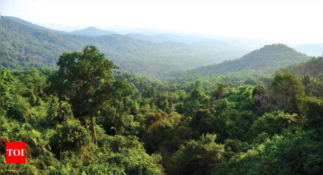 मुख्यमंत्री ने पर्यावरण के प्रति संवेदनशील गांवों के नोटिस पर पंचायतों और विधायकों से सुझाव मांगे | गोवा समाचार