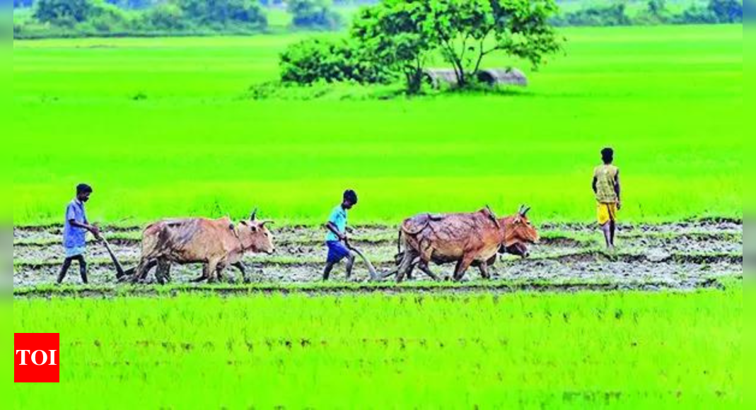 किसानों की आय बढ़ाने के लिए सरकार ने 35,000 करोड़ रुपये की योजना बढ़ाई | भारत समाचार