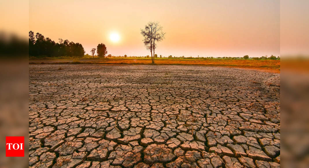 जलवायु परिवर्तन: अध्ययन में पाया गया कि 2050 तक दो में से एक अल नीनो घटना चरम पर हो सकती है