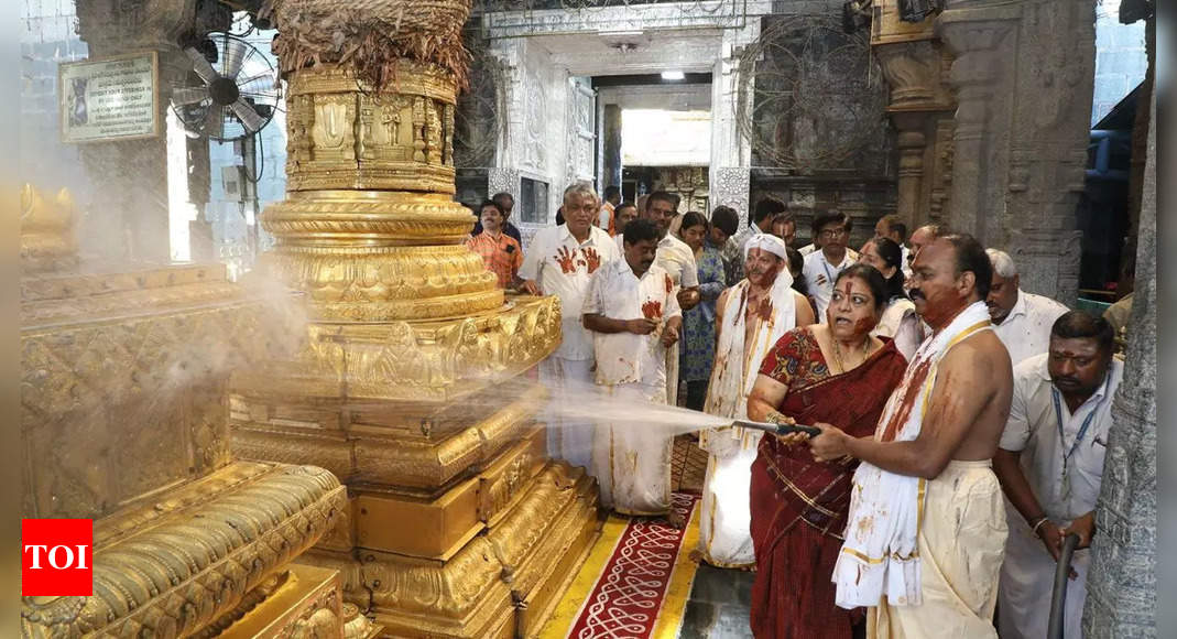 पवित्र सफाई अनुष्ठान ‘कोइल अलवर तिरुमंजनम’ तिरूपति मंदिर में ब्रह्मोत्सवम की तैयारियों की शुरुआत का प्रतीक है विजयवाड़ा समाचार