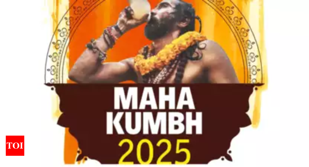 महाकुंभ 2025: वैश्विक गणमान्य व्यक्ति और संत प्रयागराज में गंगा आरती में शामिल होंगे प्रयागराज समाचार