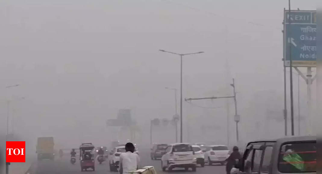 दिल्ली में उच्च AQI स्तरों पर बढ़ती चिंताओं के बीच एक उपयोगकर्ता का कहना है, “कन्नड़ सीखने और स्थायी रूप से बसने का समय…”