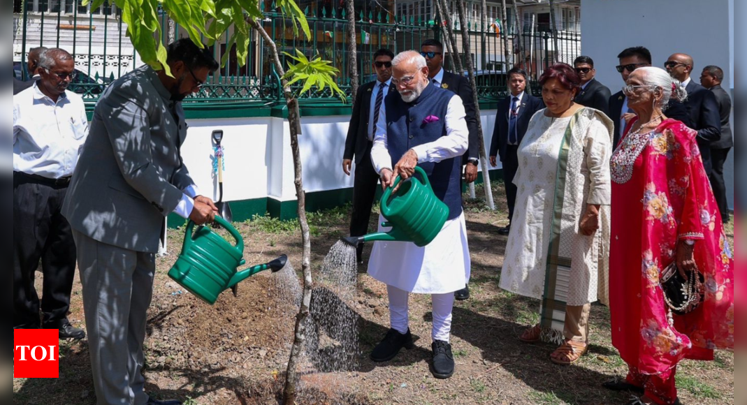 पीएम मोदी की ‘एक पेड़ मां के नाम’ पहल वैश्विक हुई | भारत समाचार