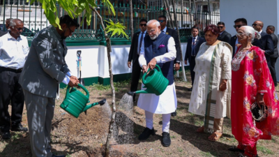 पीएम मोदी की 'एक पेड़ मां के नाम' पहल वैश्विक हो गई है