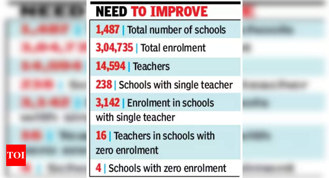 गोवा में 238 एकल-शिक्षक स्कूल: केंद्र की रिपोर्ट