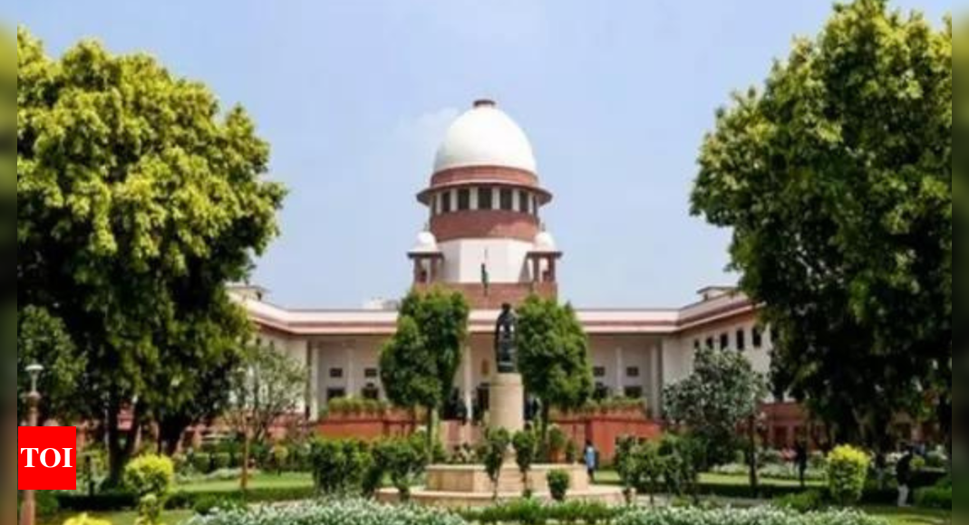 SC/ST कोटे से क्रीमी लेयर को बाहर करने का फैसला विधायिका और कार्यपालिका को करना है: SC | भारत समाचार