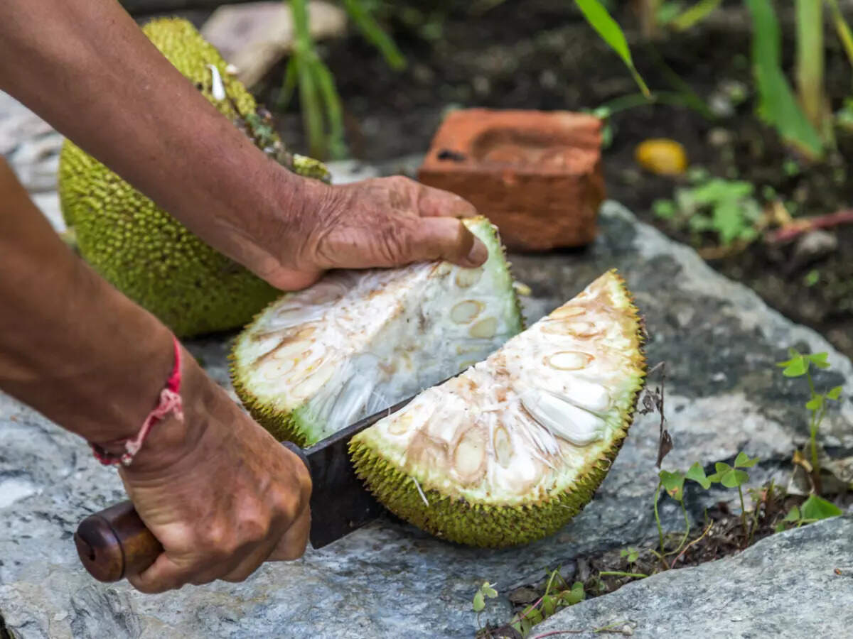 गर्मी के मौसम में कटहूट क्यों खाने के लिए