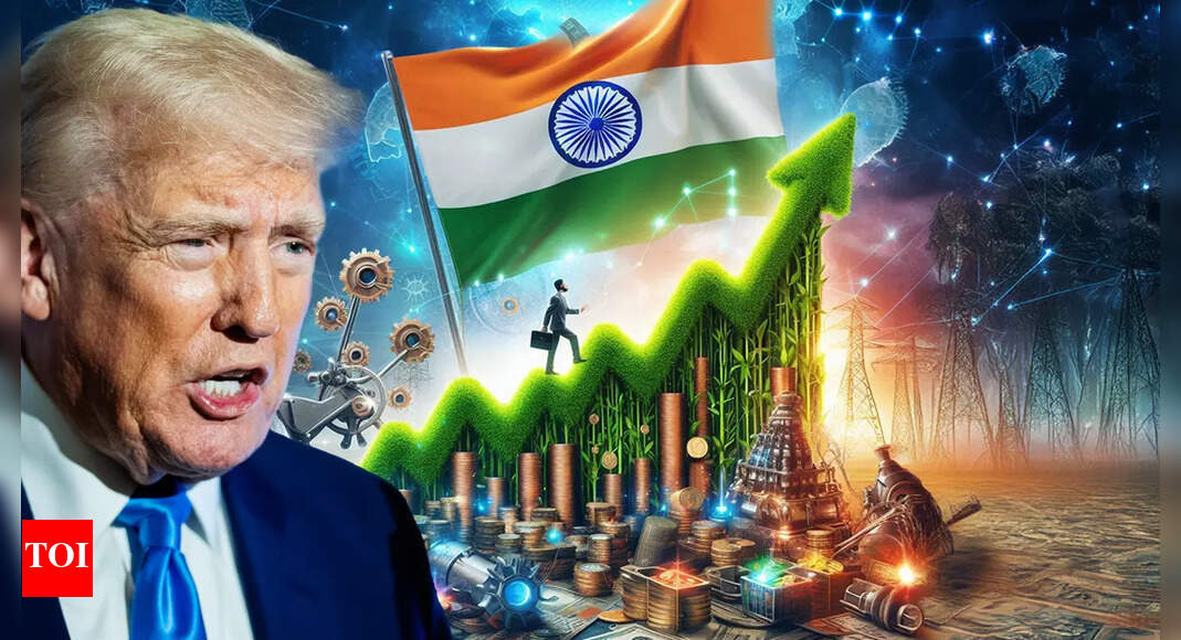 ट्रम्प टैरिफ से भारतीय अर्थव्यवस्था कितनी मारा जाएगा? अधिकारी जीडीपी विकास अनुमान बनाए रखते हैं