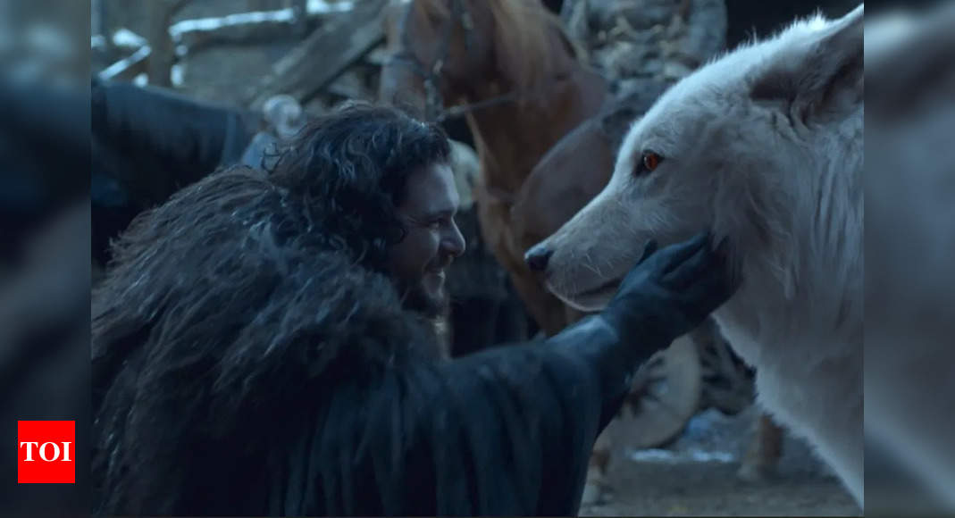 Direwolves पुनर्जन्म? जॉन स्नो का ‘सबसे अच्छा दोस्त’ वास्तव में विलुप्त होने से वापस नहीं है
