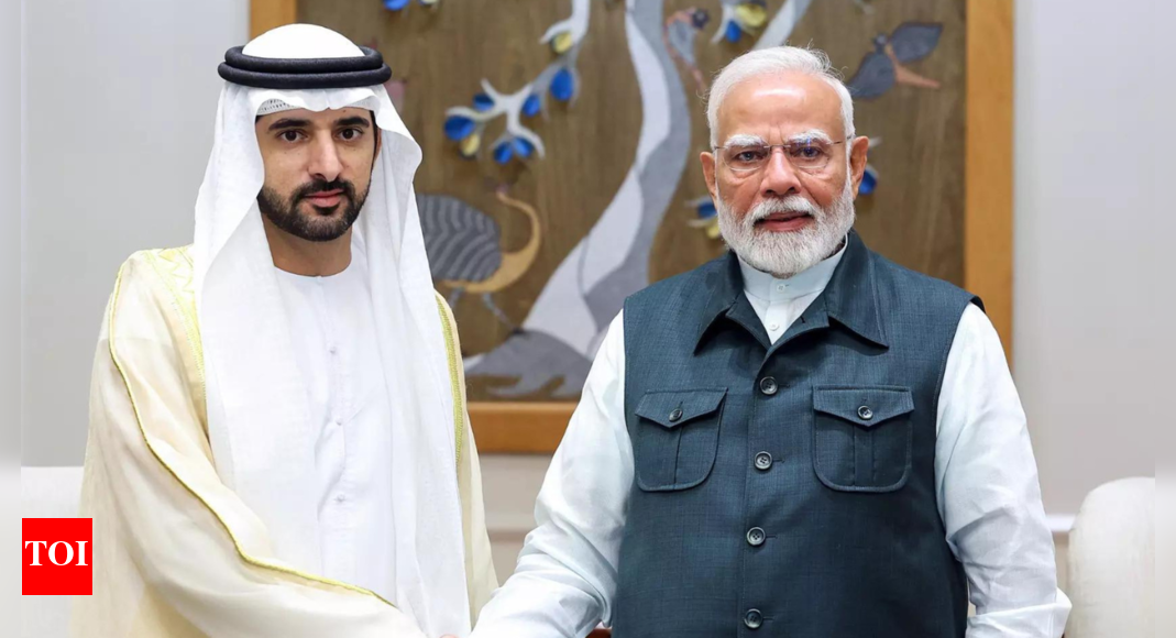 पीएम मोदी, दुबई क्राउन प्रिंस ने रणनीतिक संबंधों को बढ़ावा देने पर ध्यान केंद्रित किया | भारत समाचार