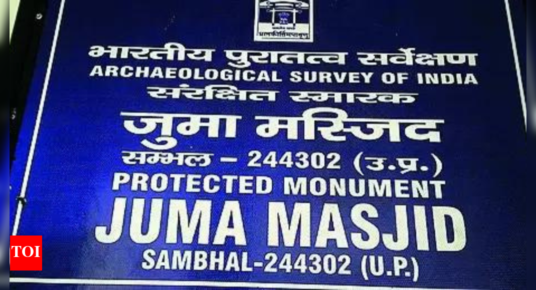 सांभल के जामा मस्जिद के ‘ऐतिहासिक नाम’ को पुनर्स्थापित करता है | लखनऊ समाचार
