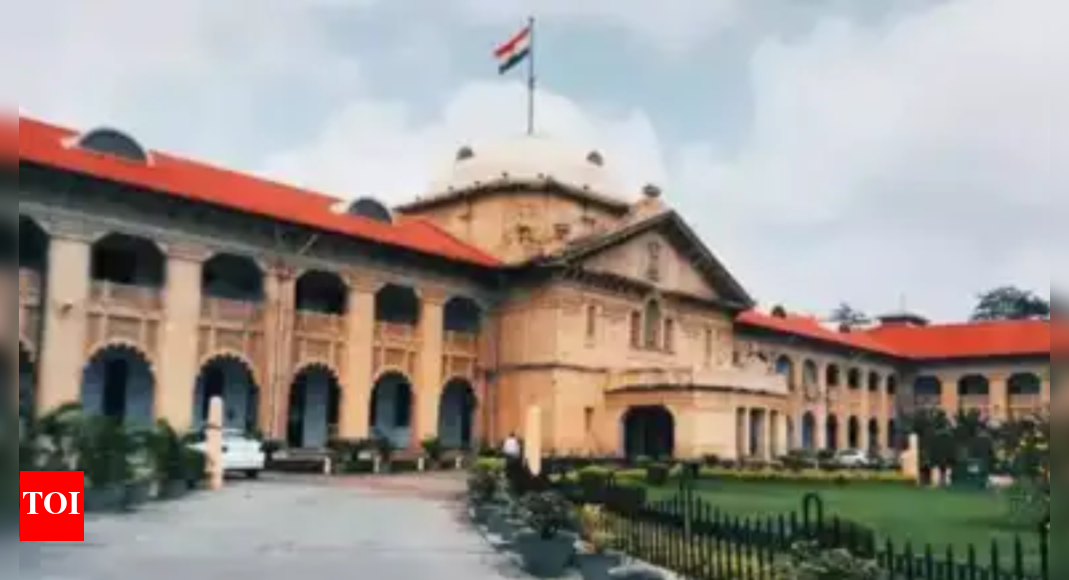 रनवे जोड़े पुलिस की सुरक्षा को एक अधिकार के रूप में नहीं ले सकते: इलाहाबाद उच्च न्यायालय | लखनऊ समाचार