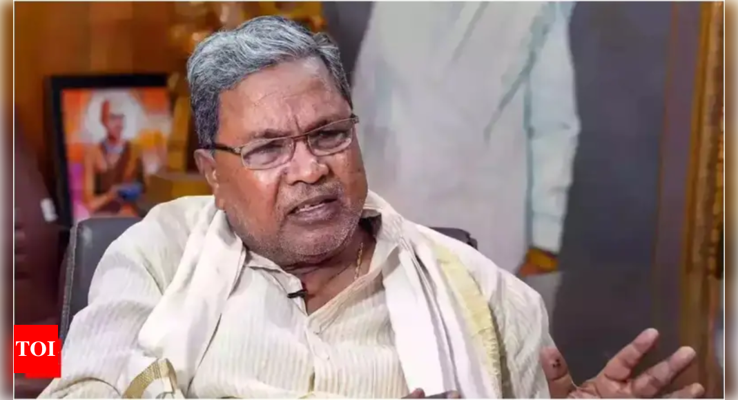 ‘कैबिनेट में जाति की जनगणना का विरोध नहीं किया गया’: कर्नाटक सीएम सिद्धारमैया स्पष्ट करता है | भारत समाचार