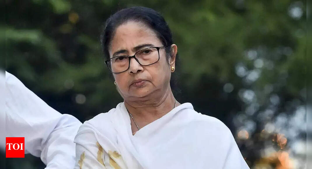 मुर्शिदाबाद हिंसा: पश्चिम बंगाल सीएम ममता बनर्जी ने बढ़ते तनाव के बीच शांति के लिए अपील की। भारत समाचार