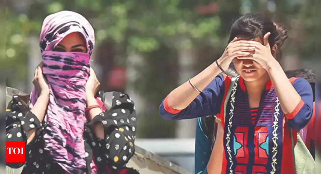 उत्तर और मध्य भारत के कुछ हिस्सों में लौटने के लिए सेट हीटवेव्स, आईएमडी को चेतावनी देते हैं