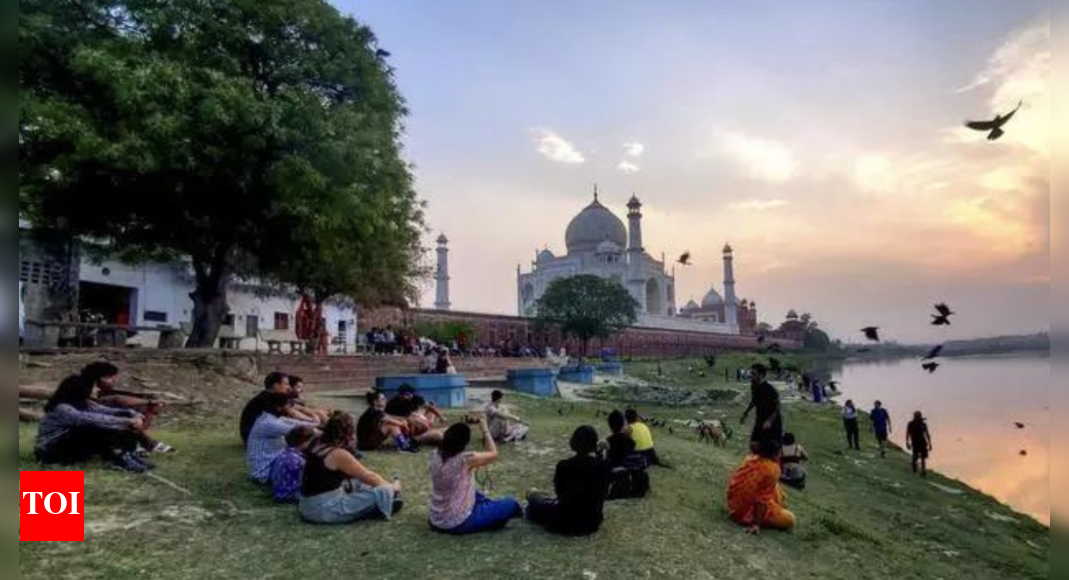SC to Fri: ताज ज़ोन में हर पेड़ की गिनती, जंगलों में उन लोगों को छोड़कर | आगरा समाचार
