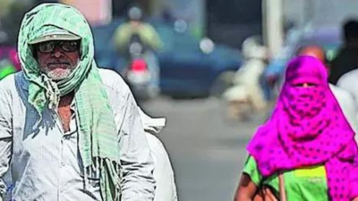 अप्रैल-जून पूरे भारत में सामान्य से अधिक गर्म होने की संभावना है: IMD