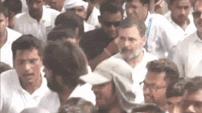 पलायन रोको, नौकरी डू: राहुल गांधी ने बिहार में 'व्हाइट टी-शर्ट' यात्रा लॉन्च किया